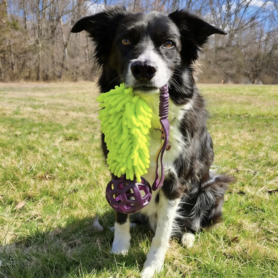 涤纶狗球玩具磨牙耐咬互动拔河玩具Dog Tug Toy  Interactive Toy