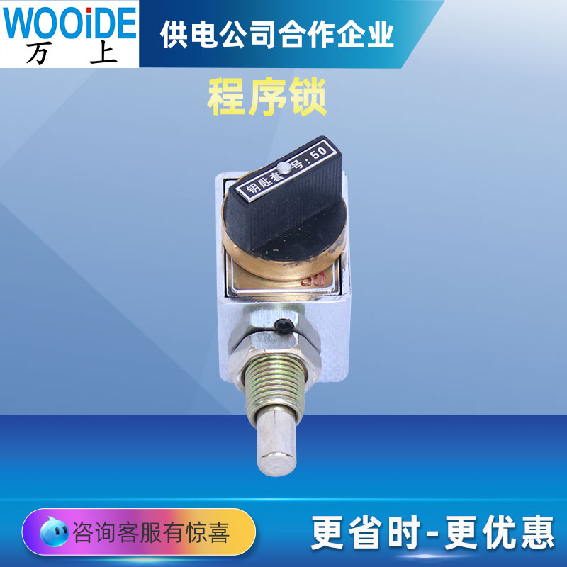 202JS 2锁1钥匙203/205/206/21/22/23/24/27/28JS防误操作程序锁