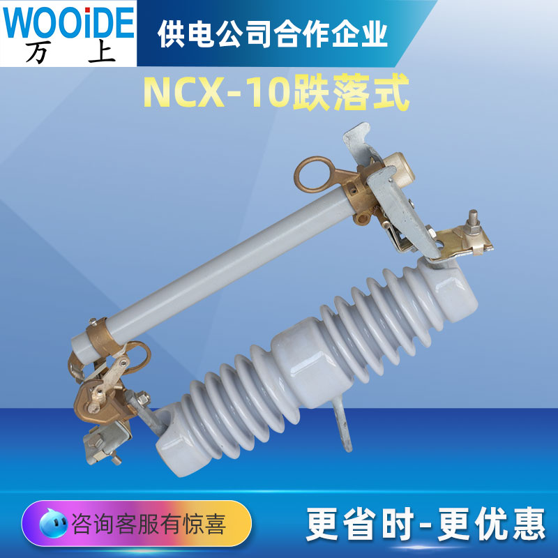 户外线路令克保险开关ABB款10kv高压陶瓷跌落式熔断器NCX-12/200A