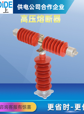 HRW9-RW10-RXWO-35KV/0.5A/0.2A户外高压限流熔断器T型熔断器