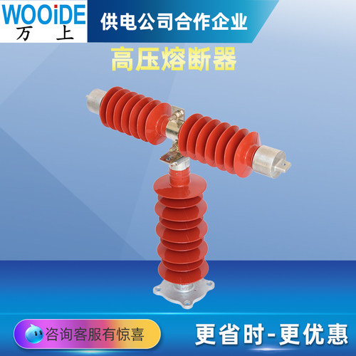 HRW9-RW10-RXWO-35KV熔断器