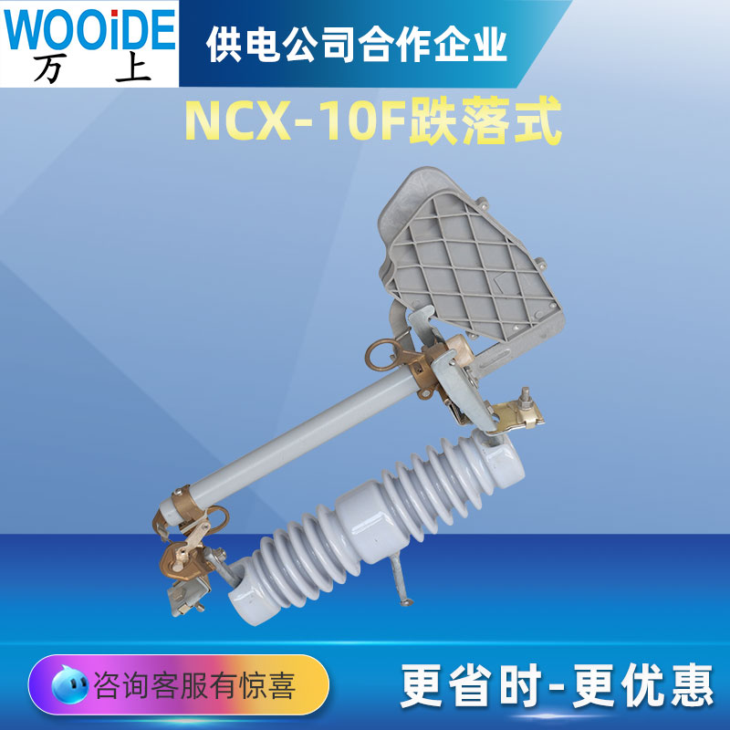 万上 RW11-3-7-12-NCX-100-200A跌落式熔断器10KV保险丝管