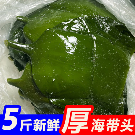 盐渍海带头厚海带根新鲜腌渍威海荣城火锅5斤商用食材非干货整箱