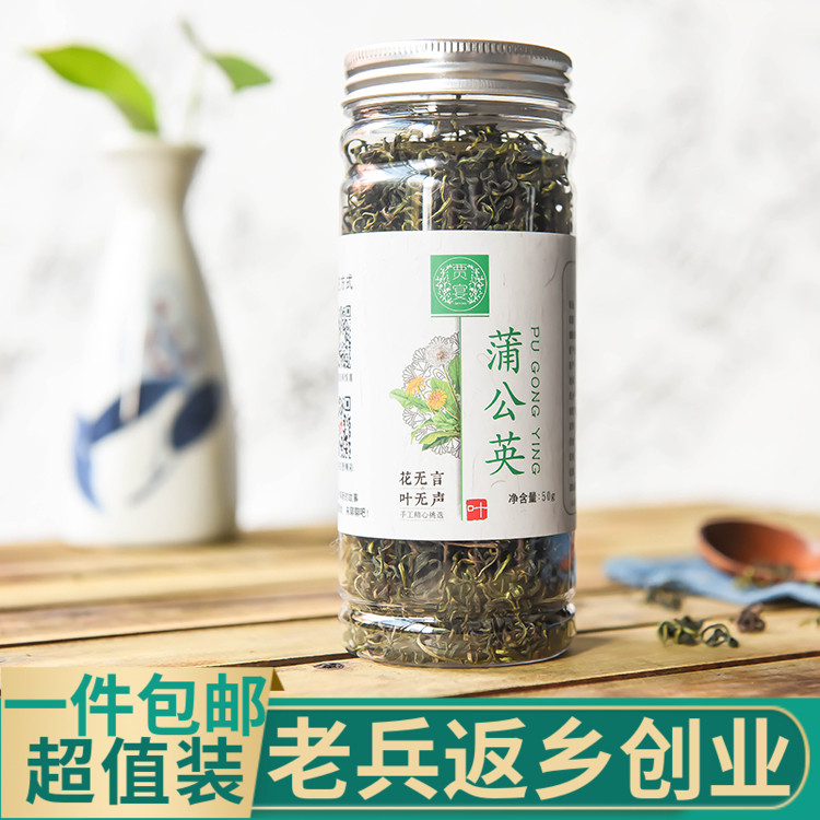 长白山特级蒲公英茶50g非清火茶