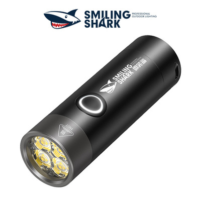 Mini Led flashlight XPG super bright portable USB charging