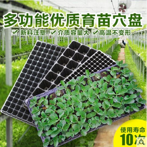 草莓种植育苗盘齐齐蔬菜育苗盘