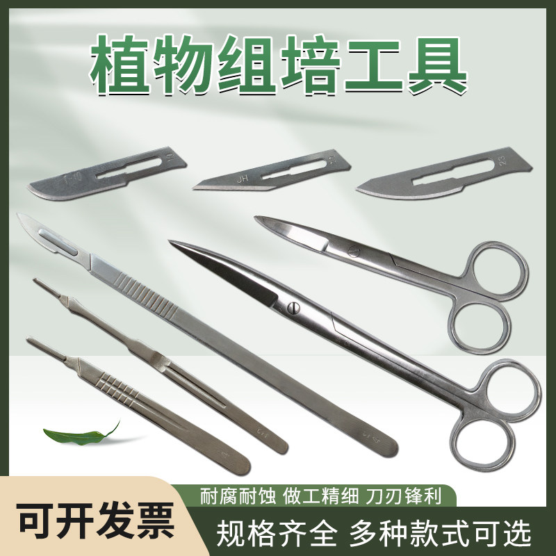 不锈钢直剪子弯剪刀植物组培工具加长刀柄刀片实验室器械直尖弯尖
