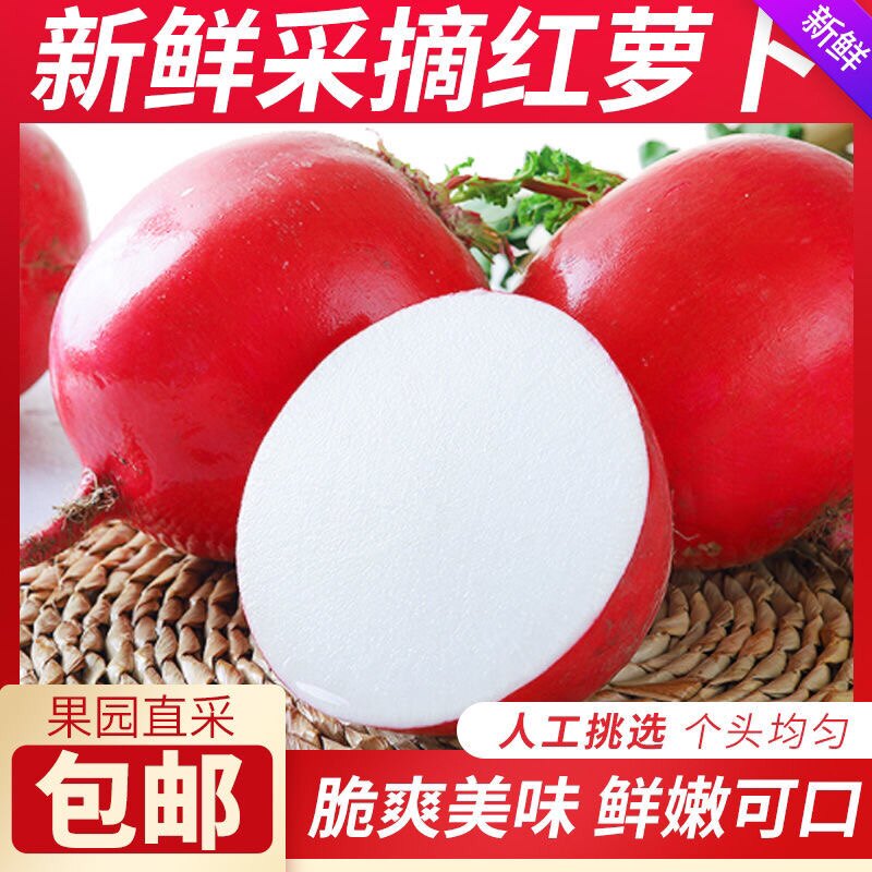 东北大红萝卜新鲜产地包邮新鲜蔬萝卜/胡萝卜