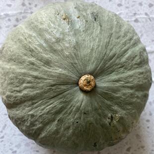 黑龙江黑土地板栗南瓜沙甜粉糯倭瓜农家新鲜灰色皮老南瓜面瓜