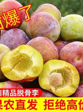 现货四川脱骨李子新鲜水果酸甜当季现摘李子水果李子