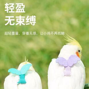 鹦鹉牵引绳外出遛鸟神器虎皮玄凤牡丹小太阳小鸟专用超轻放飞绳子