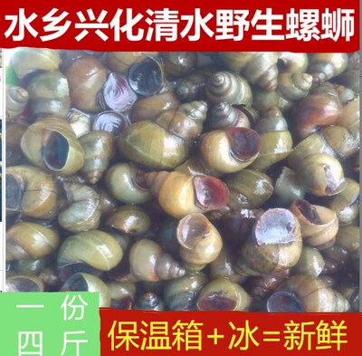 包邮1份4斤螺蛳螺螺蛳肉