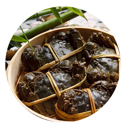 超值特惠现货速发特大大闸蟹