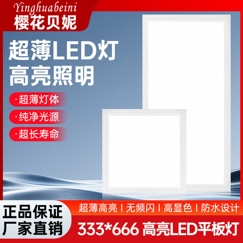 333*666集成吊顶灯嵌入式厨房灯