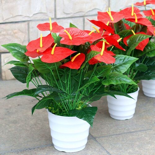 仿真植物红掌假花塑料绿萝盆栽室内外家居客厅装饰花草落地摆设件