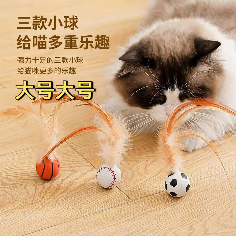 猫咪弹力球互动解闷玩具图片