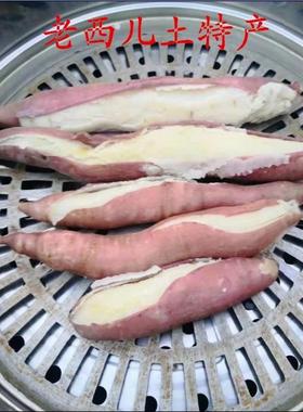 白心板栗红薯老济南红薯西徐红薯山西临汾襄汾净重5斤无丝