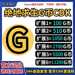 PUBGG币 绝地求生G币金币吃鸡gb游戏币皮肤点卷官方充值兑换码CDK