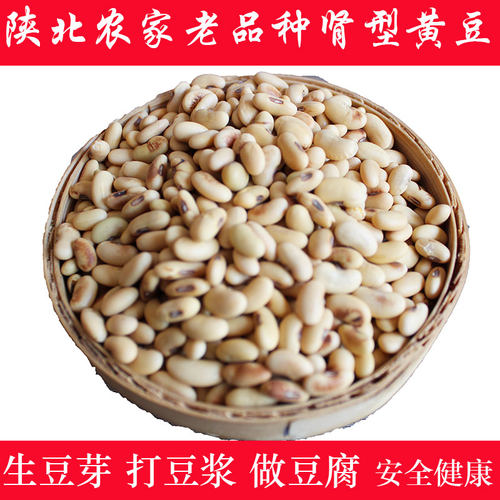 黄豆陕北黄豆肾型豆陕西