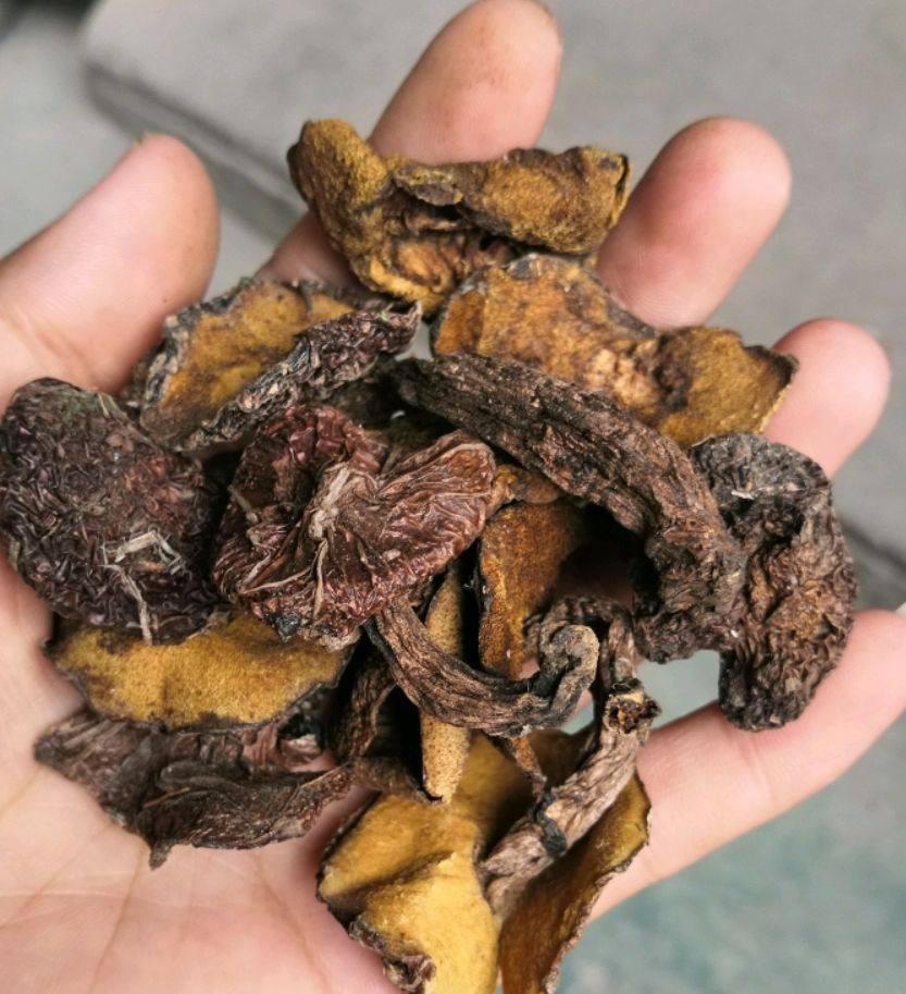 野生松蘑干250g 蘑菇晒干小香菇松鹅子粘团子菌唐山特产新货包邮