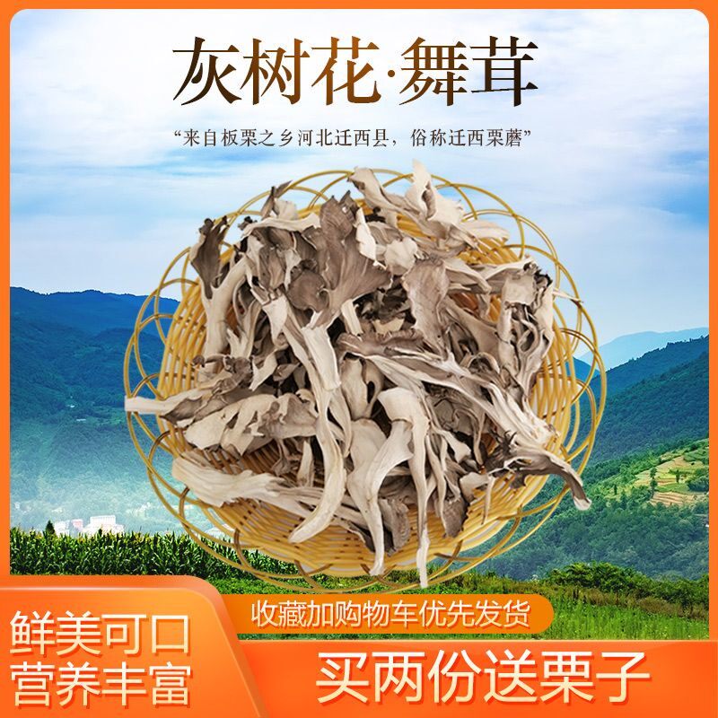 新货河北迁西栗蘑干250g灰树花 舞茸板栗蘑真菌香菇特产礼盒送礼