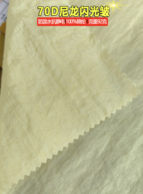 梭织70D尼龙闪光皱92克重锦纶布