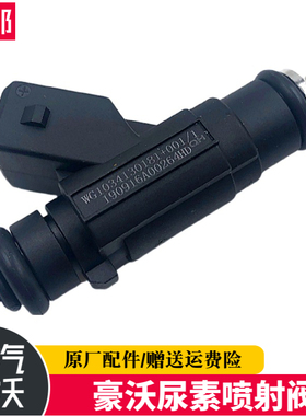 适配豪沃国五 尿素泵喷嘴芯喷射喷嘴计量阀 WG1034130181原厂