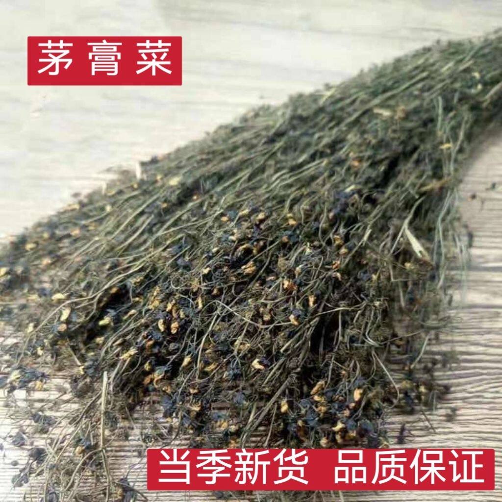 茅膏菜矛膏菜落地珍珠草一粒金丹草 陈伤子草 地下明珠草干