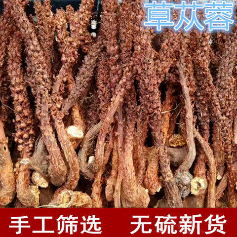 新货大兴安岭野生 回春草 不老草 草苁蓉泡酒料煲汤料列当泡茶