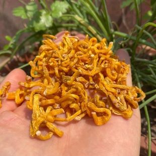 土特产山货~野金钗~金苏灵