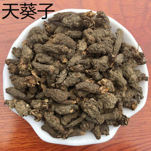 天葵子  天葵籽 紫背天葵天葵根 天葵草 千年老鼠屎