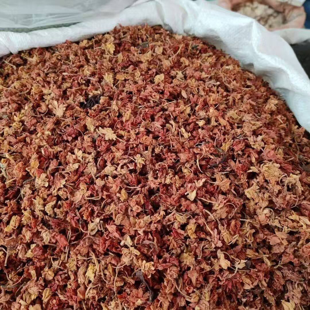 新货茉莉花干花泡水红茉莉花草茶填入枕芯枕头填充
