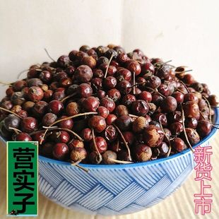 营实子 营实 蔷薇子 野蔷薇子 蔷薇子