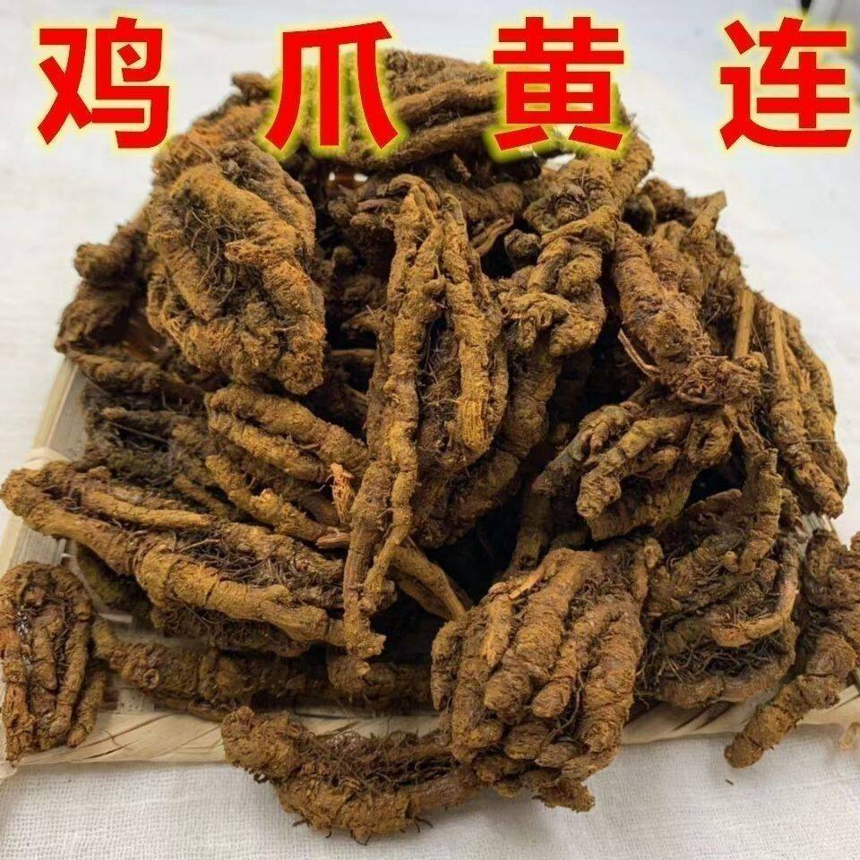 黄连个川黄连鸡爪黄连正品整根黄连
