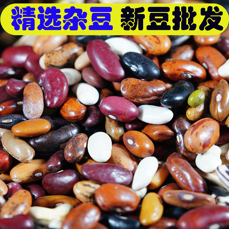 杂豆混合豆杂芸豆混合各种豆类杂豆组合花豆类大全混搭批发杂粮豆