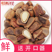 新货特大东北新鲜手剥开口红松子散装 大颗粒批原味无添加干果坚果