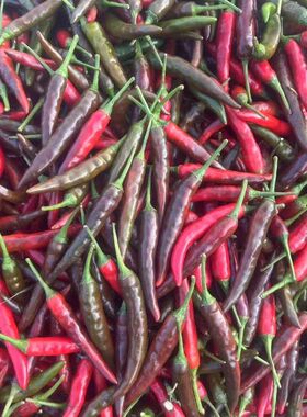 新鲜泡椒小米辣乌红朝天椒特辣酱紫色辣椒剁椒泡椒酸辣椒