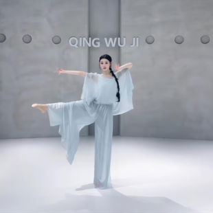 古典舞服身韵宽松假两件钉花网纱罩衫上衣形体服现代舞成人练功服