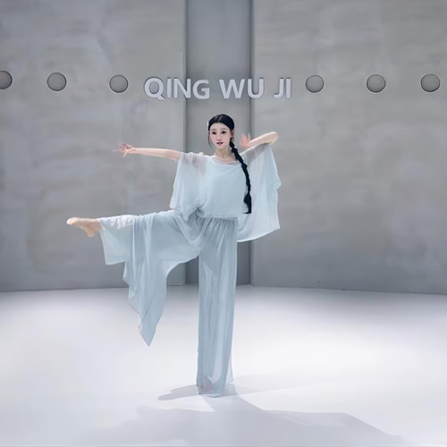 古典舞服身韵宽松假两件钉花网纱罩衫上衣形体服现代舞成人练功服