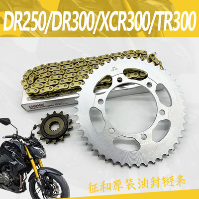 豪爵DR250DR300XCR300套链