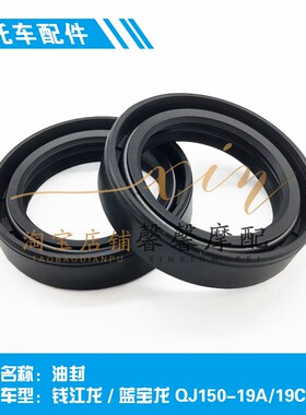 适用于 钱江龙QJ150-19A/C蓝宝龙QJ150-17A倒置前减震油封