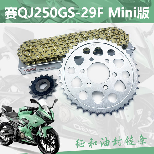 钱江套链QJ250GS-29F赛250