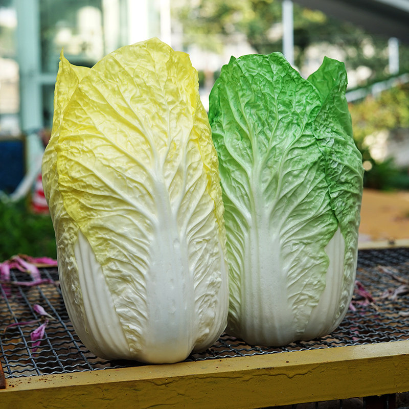 超大白菜道具模型装饰摆件摄影