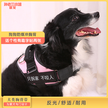 狗狗金毛拉布拉多大背心式遛狗绳子1
