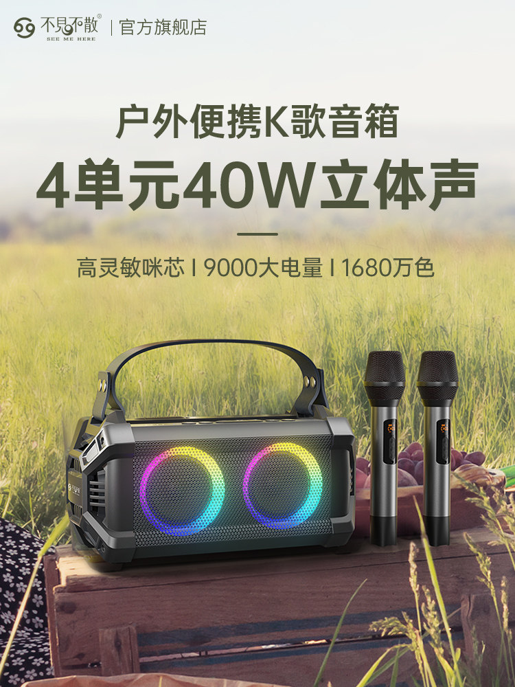 不见不散SK600无线蓝牙广场舞音响户外k歌音箱便携唱歌无线话筒麦