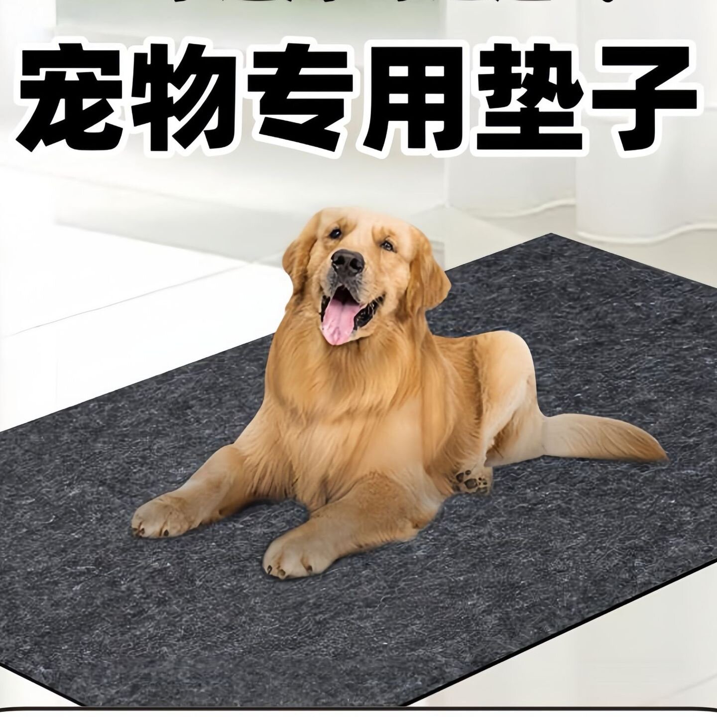 狗垫子防撕咬宠物地垫猫狗窝四季通用大型犬防滑防水狗笼垫板耐磨