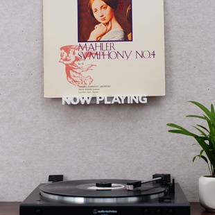 Now playing黑胶唱片展示架 客厅书房吧台黑胶唱片墙挂式收纳架