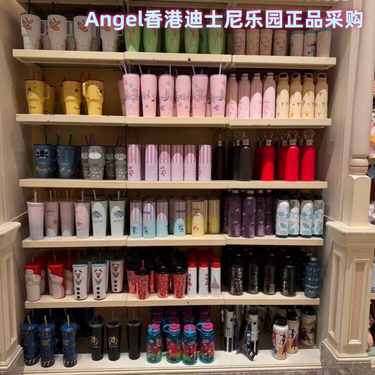 香港迪士尼 米奇唐老鸭史迪仔花仙子维尼熊吸管杯手提水壶 冷水壶