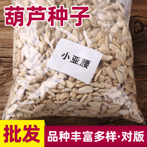 雅韵天然葫芦种子批发