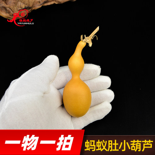 天然天津嘴精品小葫芦